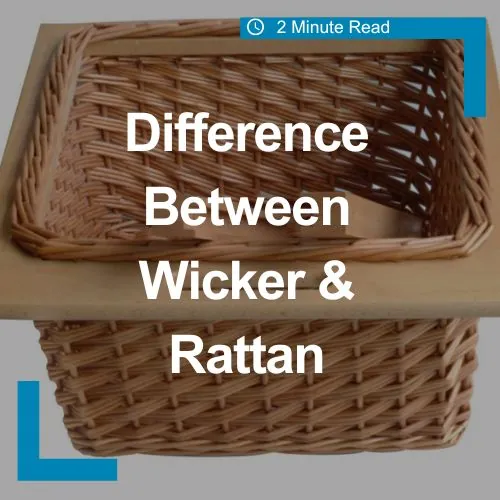 Wicker baskets : whats the difference between wicker and rattan?